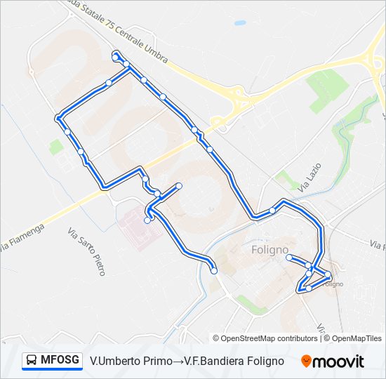 Percorso linea bus MFOSG