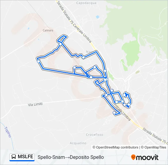 MSLFE Bus Line Map