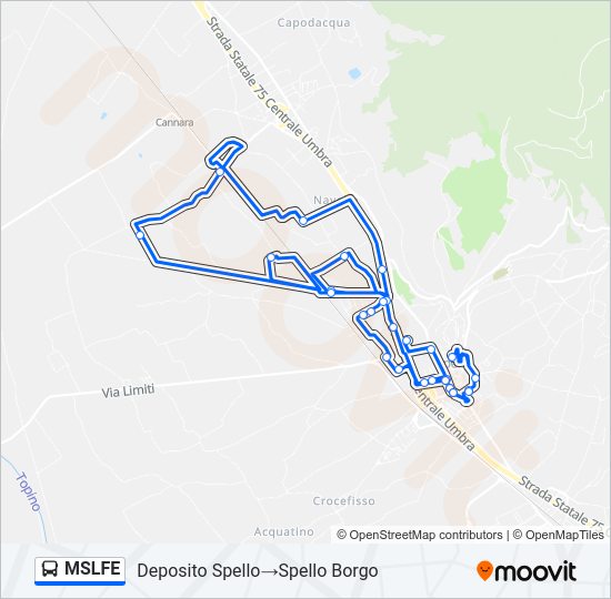 MSLFE Bus Line Map