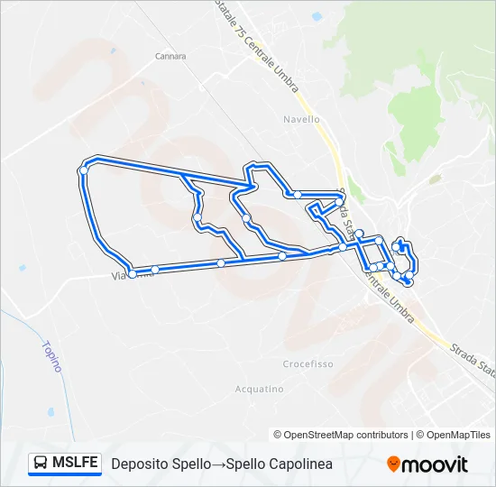 MSLFE Bus Line Map