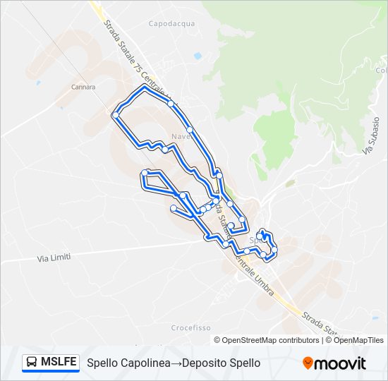 MSLFE Bus Line Map