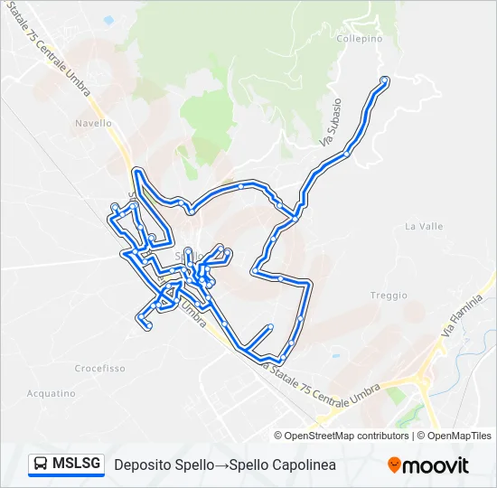 MSLSG Bus Line Map