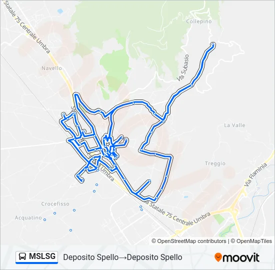 MSLSG Bus Line Map
