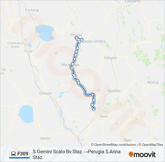 F309 Bus Line Map
