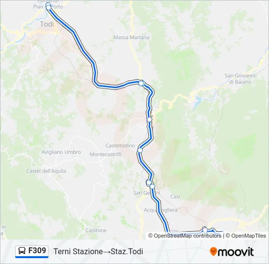 F309 Bus Line Map