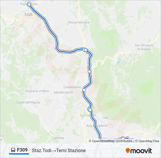 F309 Bus Line Map