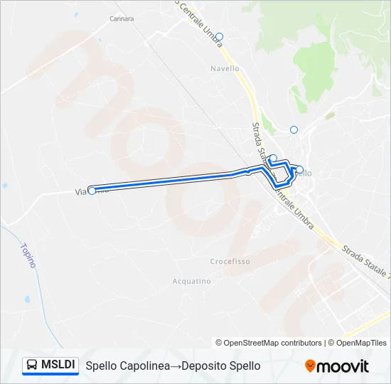MSLDI Bus Line Map