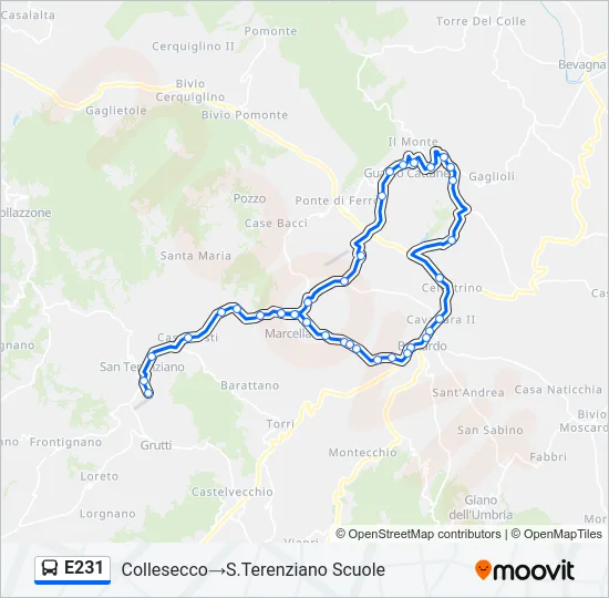 E231 Bus Line Map