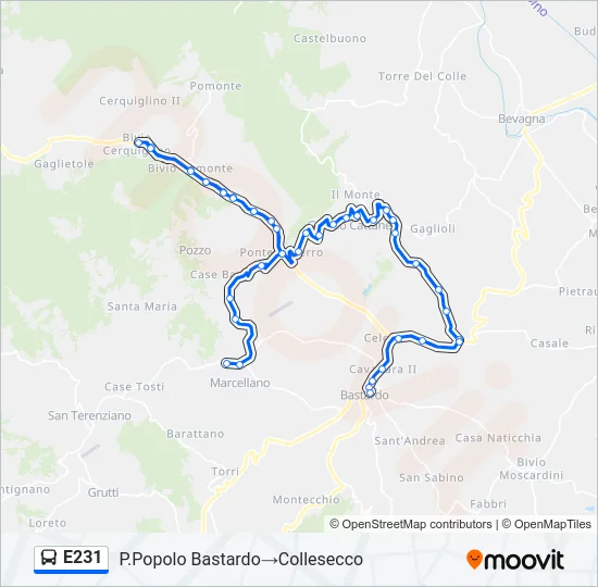 E231 Bus Line Map