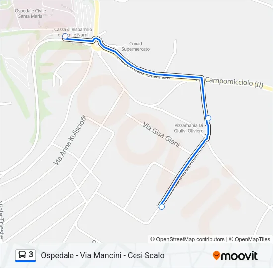 3 Bus Line Map