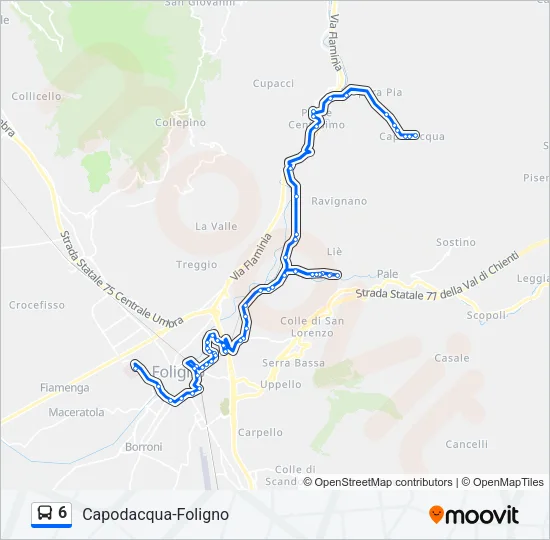 6 Bus Line Map