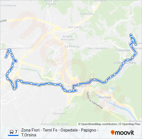 7 Bus Line Map