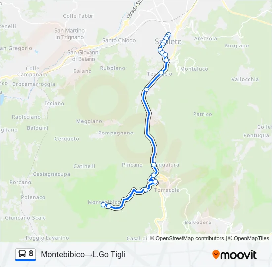 8 Bus Line Map