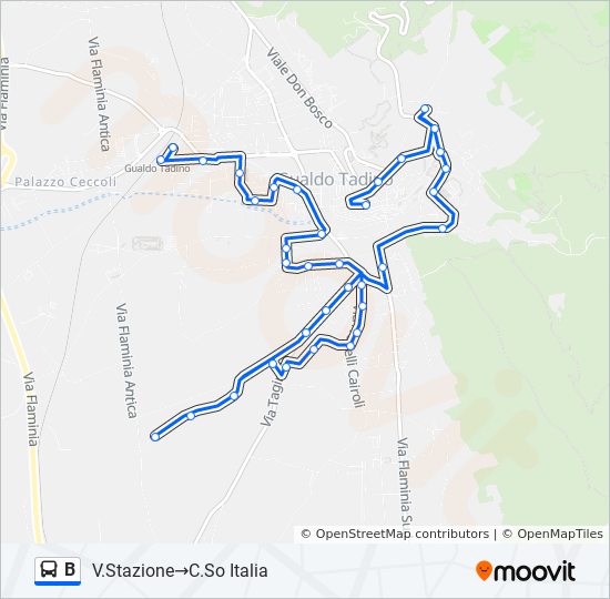 B bus Line Map