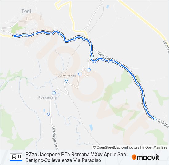 B bus Line Map