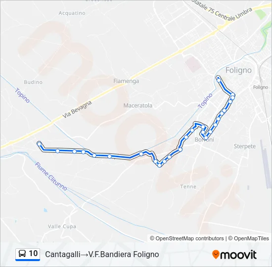 10 Bus Line Map