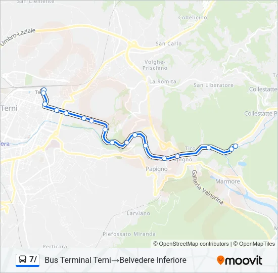 7/ Bus Line Map