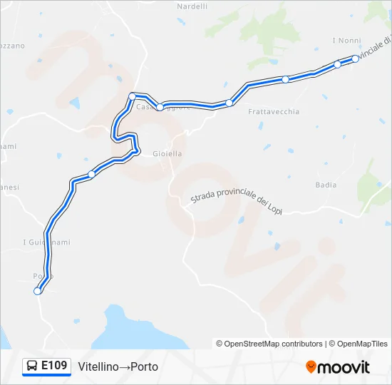 Percorso linea bus E109