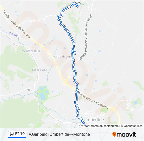 E119 Bus Line Map