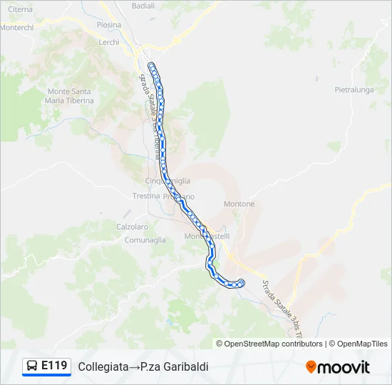E119 Bus Line Map