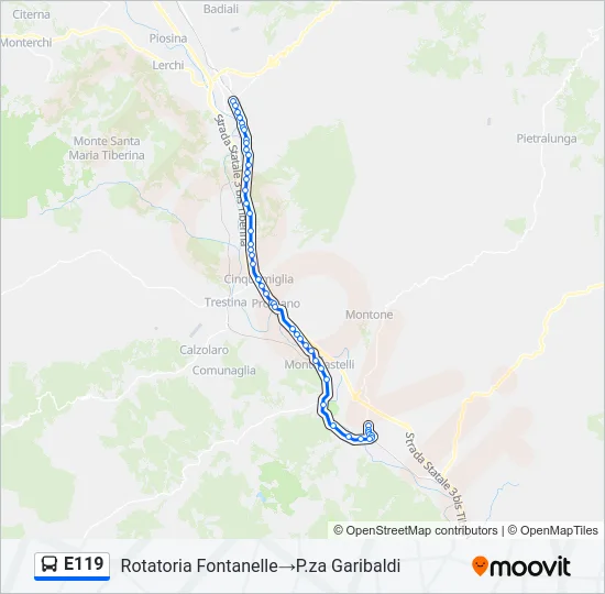 E119 Bus Line Map