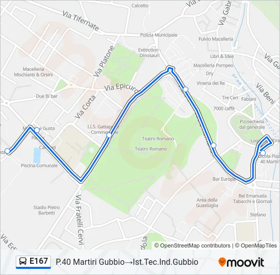 E167 Bus Line Map
