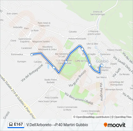 E167 Bus Line Map