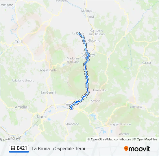 E421 Bus Line Map