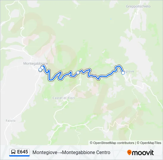 E645 Bus Line Map