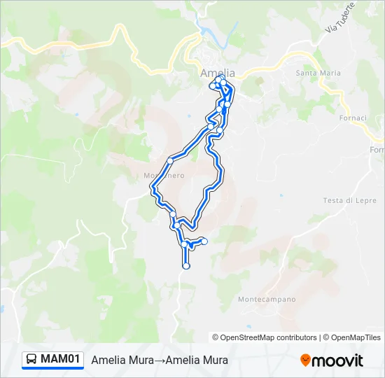 MAM01 Bus Line Map