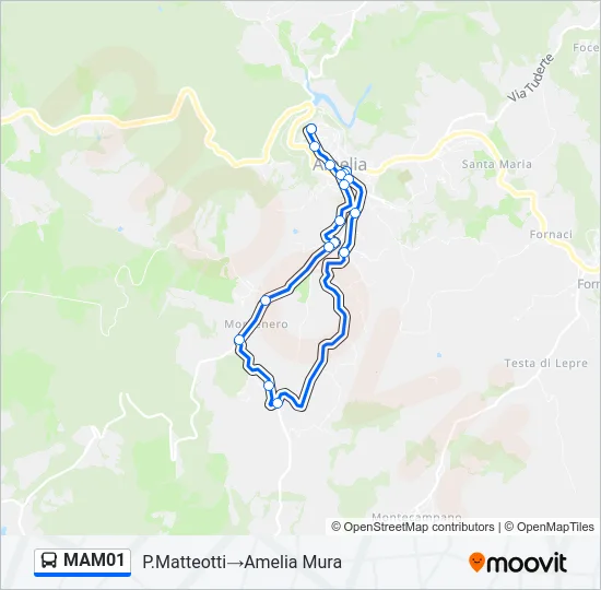 MAM01 Bus Line Map