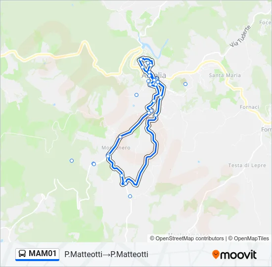 MAM01 Bus Line Map