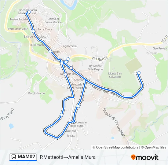MAM02 Bus Line Map