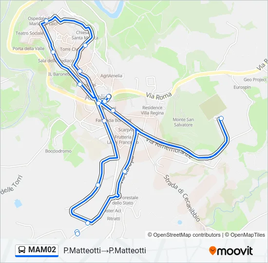 MAM02 Bus Line Map