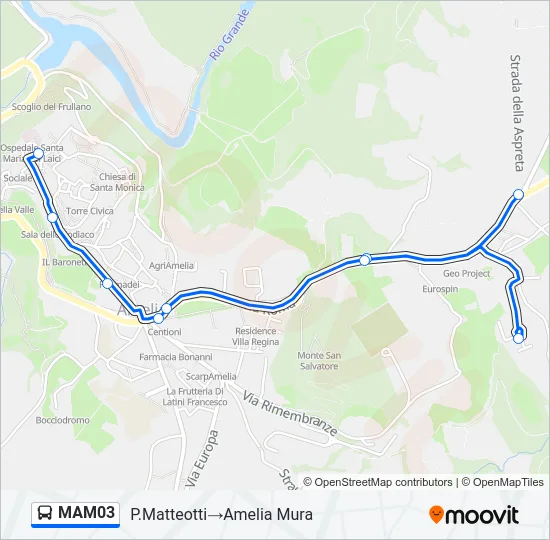 MAM03 Bus Line Map