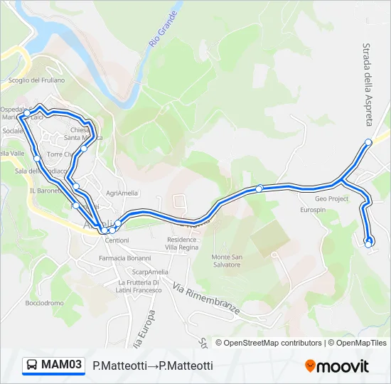 MAM03 Bus Line Map