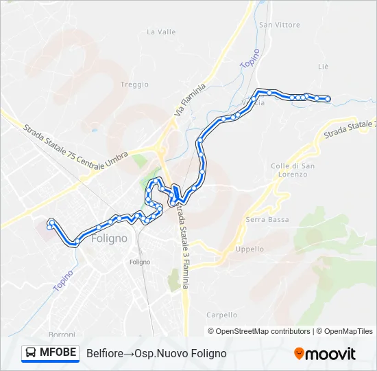 MFOBE Bus Line Map