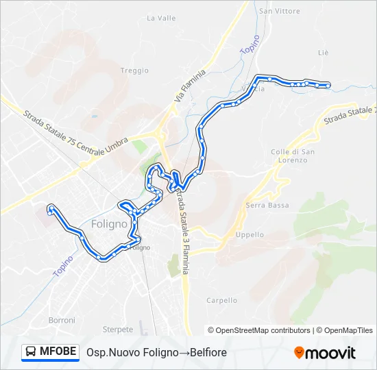 MFOBE Bus Line Map