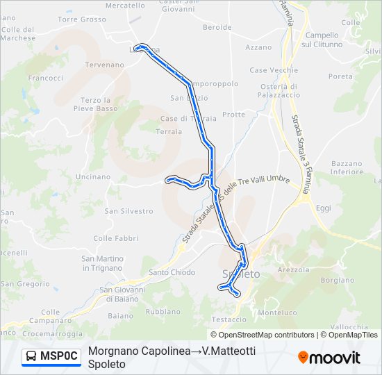 MSP0C Bus Line Map