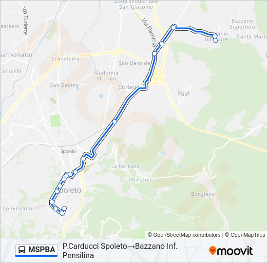 MSPBA Bus Line Map