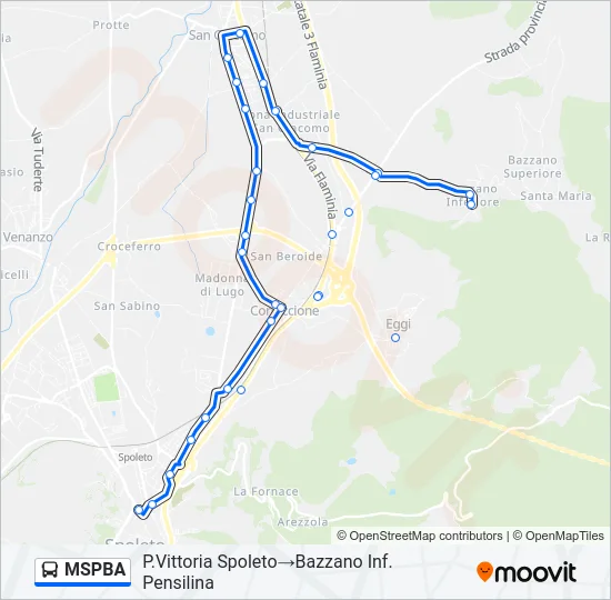 MSPBA Bus Line Map