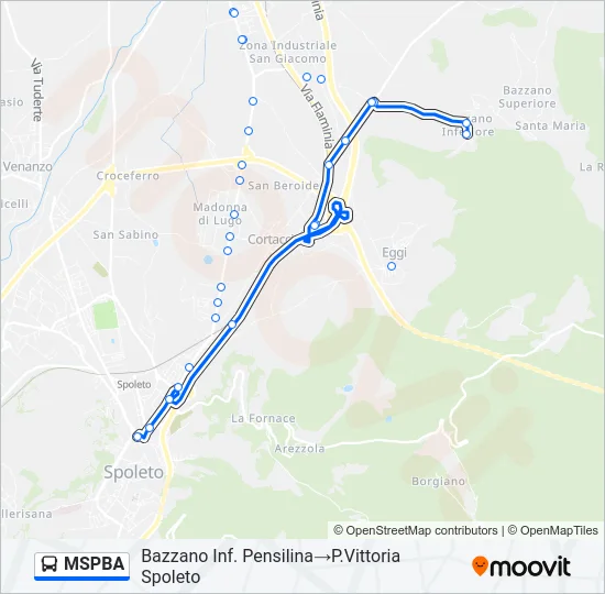 MSPBA Bus Line Map