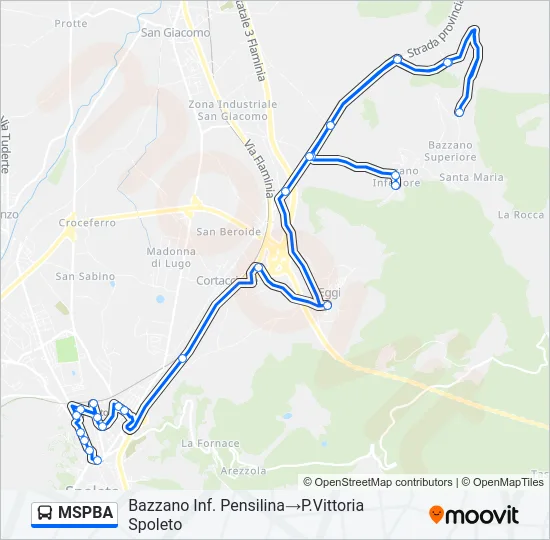 MSPBA Bus Line Map