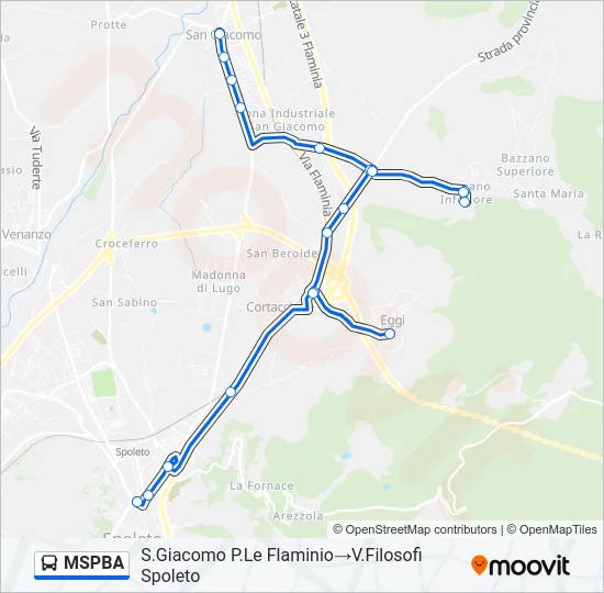 MSPBA Bus Line Map