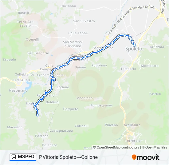 MSPFO Bus Line Map