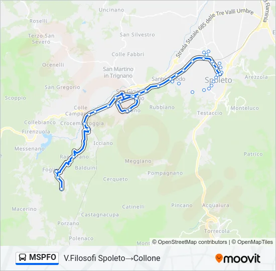 MSPFO Bus Line Map