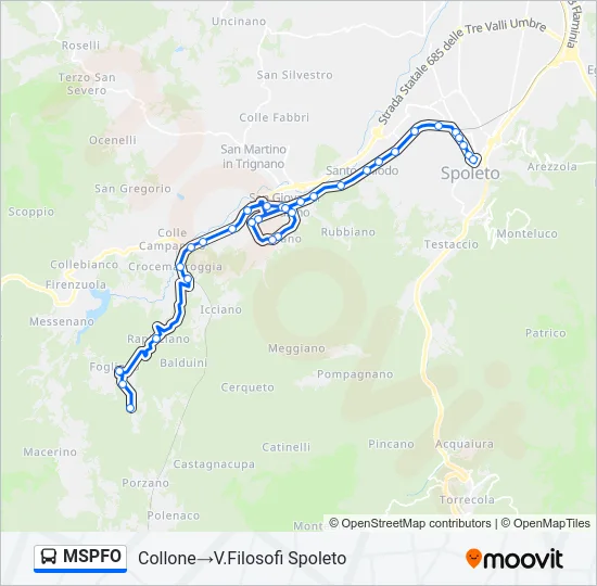 MSPFO Bus Line Map