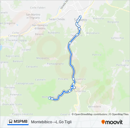 MSPMB Bus Line Map