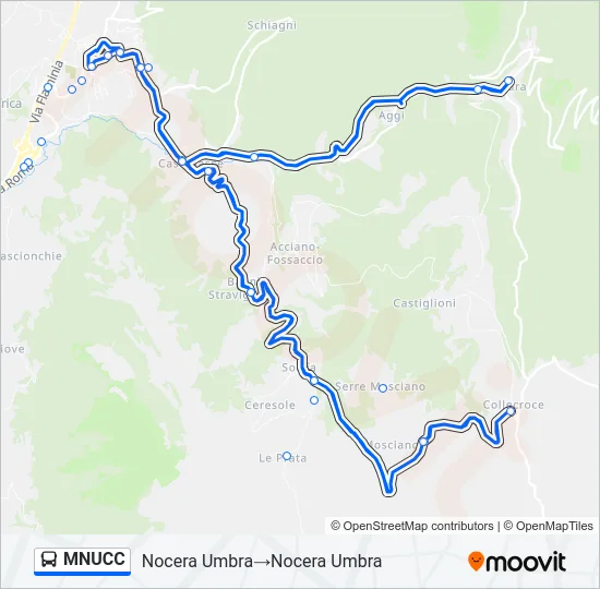 MNUCC Bus Line Map