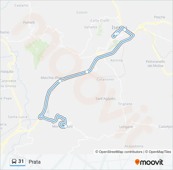 31 Bus Line Map